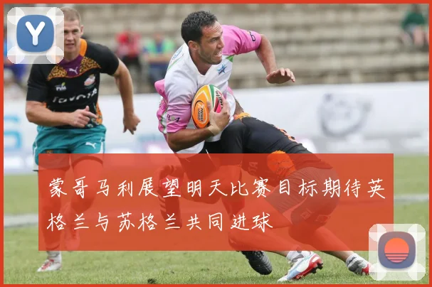 蒙哥马利展望明天比赛目标期待英格兰与苏格兰共同进球